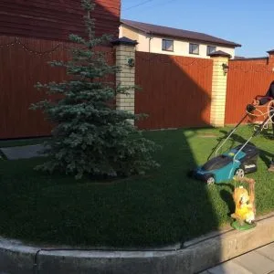 Стрижка газона