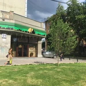 Деревья в город