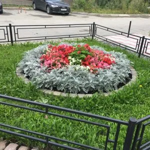 Посадку клумбы