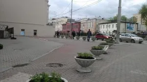 Городское озеленение в горшках
