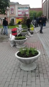 Цветы в горшках