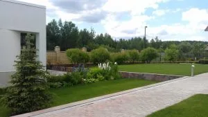 Озеленение участка около дома