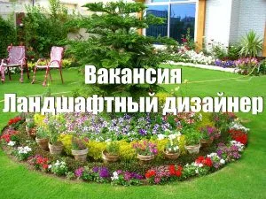 работа ландшафтному дизайнеру