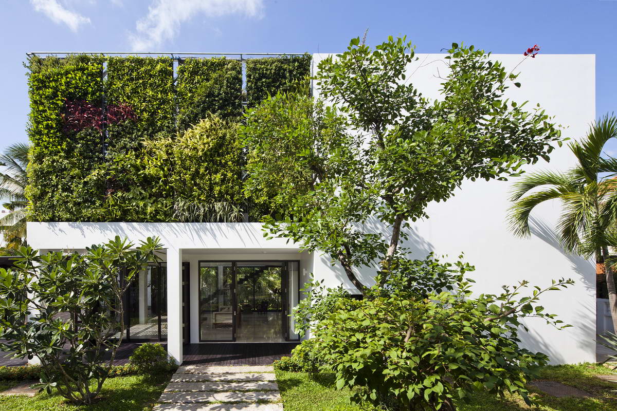 Вертикальное озеленение на участке и в интерьере дома