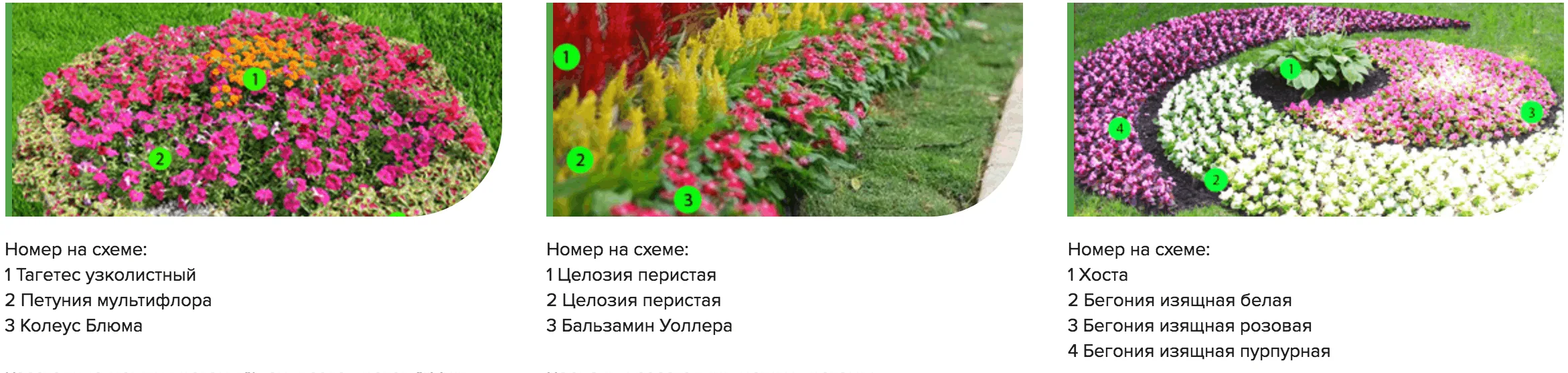 цветник частного дома