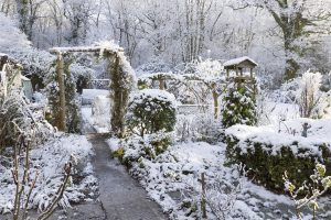 Снежный сад: из чего складывается зимняя декоративность вашего участка